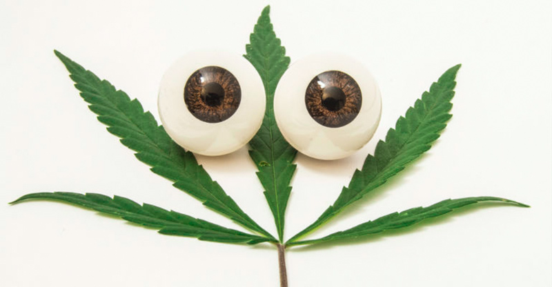 Details about Glaucoma and cbd
