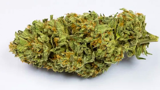 Bubba Kush Cannabis