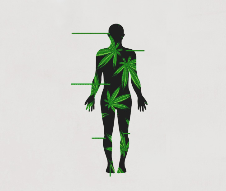 CBD In Body