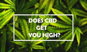 Does CBD Get You High