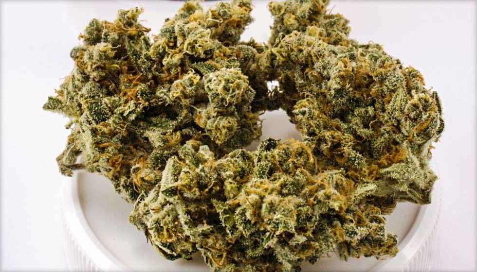 Trainwreck Marijuana