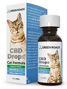 CBD oil for Cats