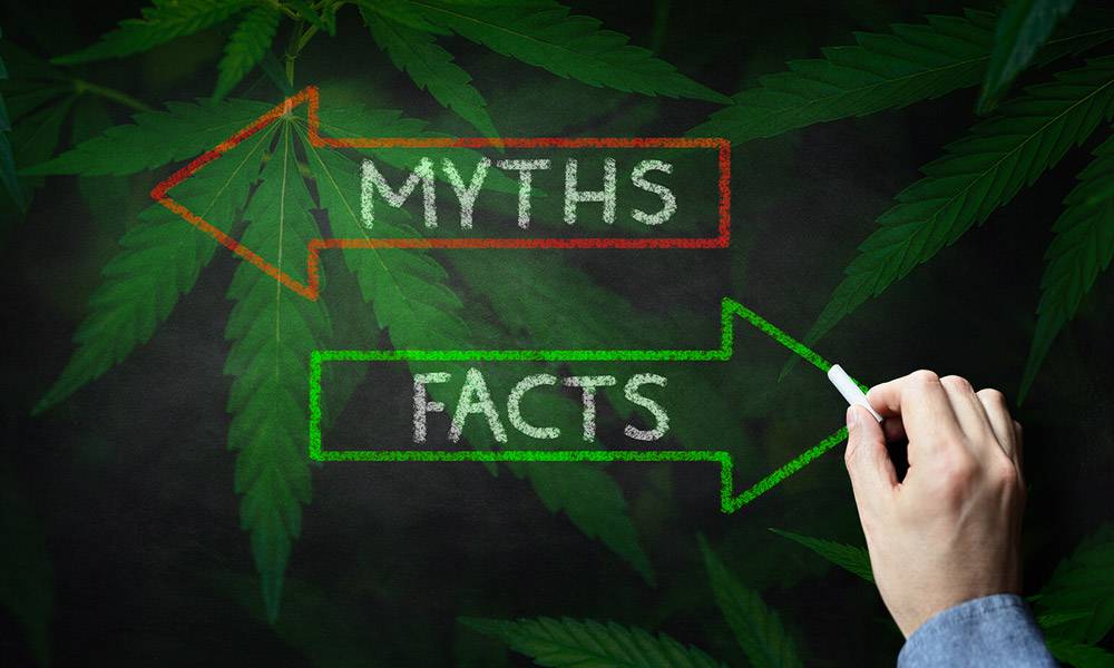 CBD Common Misconceptions & Myths