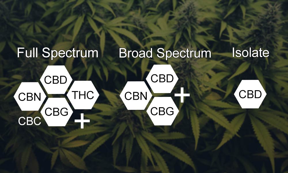 Structural Differences Between Full spectrum Broad spectrum and Isolate CBD